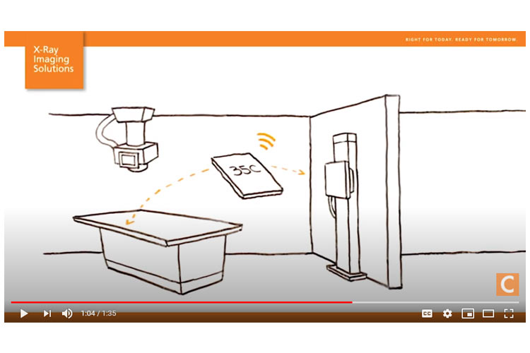 focus-35C-43C-detector-overview-2
